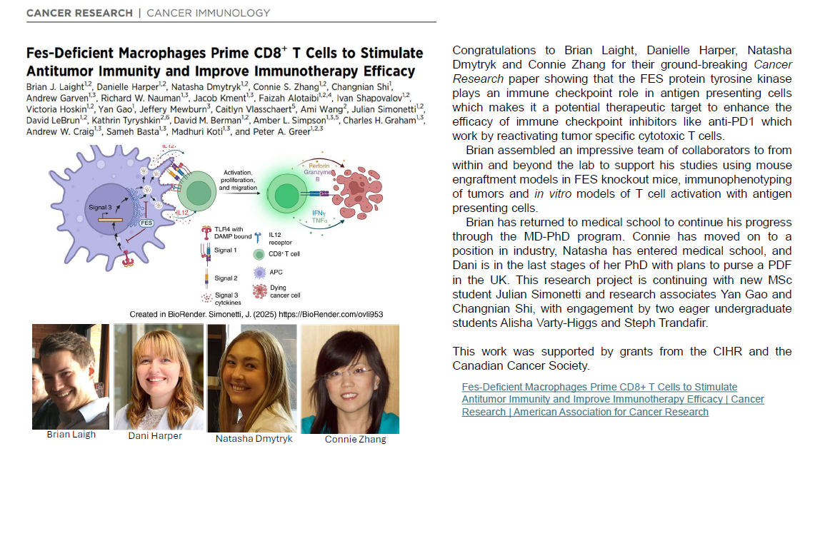 
                         Graduate Studies                                                    - 
                          Fes-Deficient Macrophages Prime CD8+ T Cells to Stimulate Antitumor Immunity and Improve Immunotherapy Efficacy Cancer Research                                                    